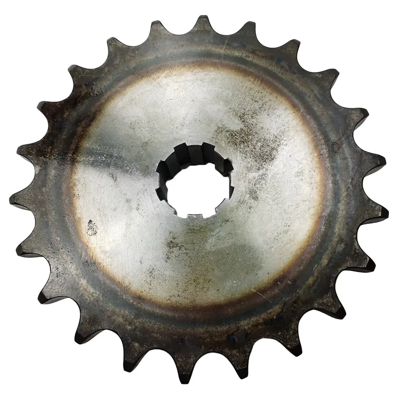 Artículo Popular 2026: Piñones - Sprocket reseña y precio