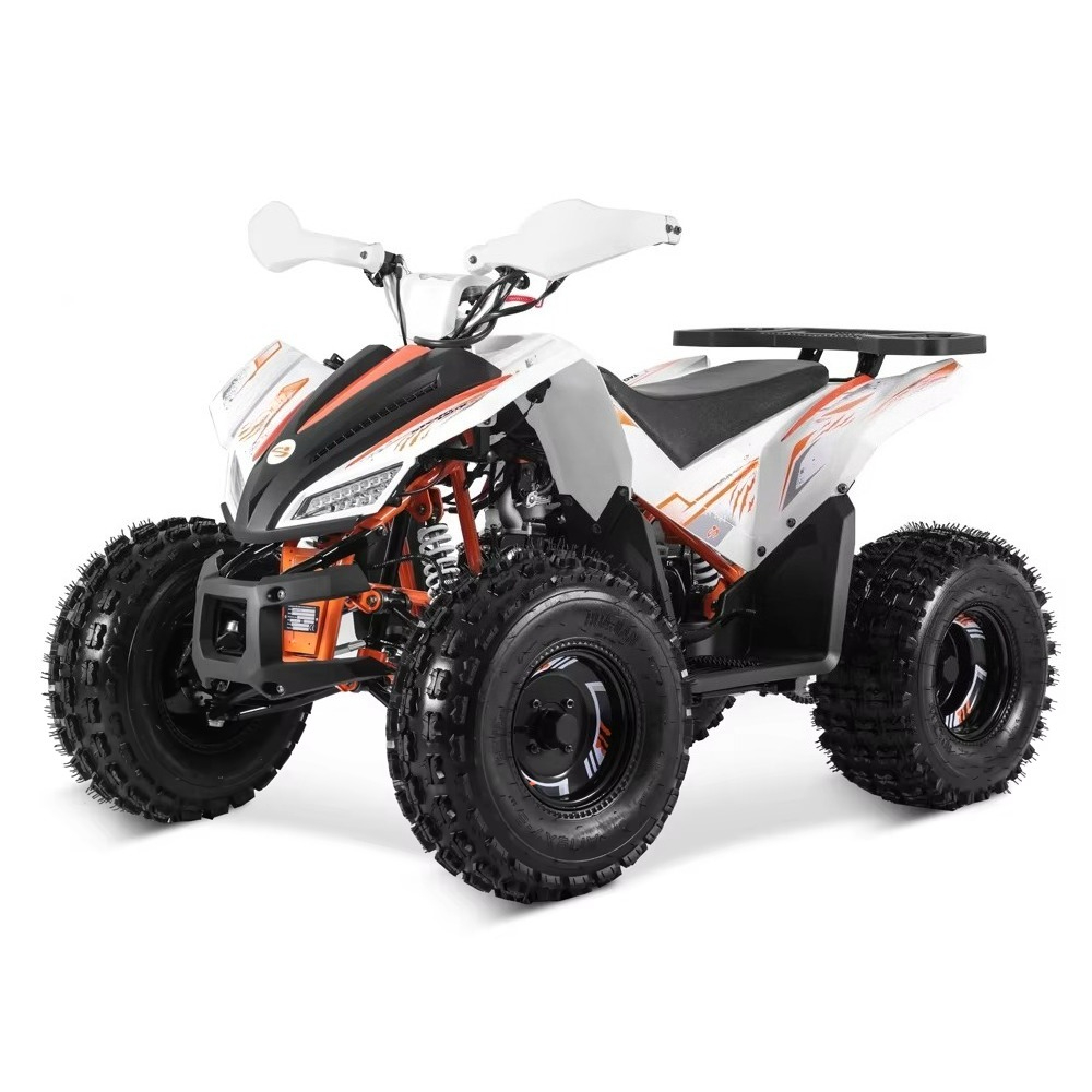 Stlf Tao Motor 2026 Nuevo Dise - Bike Chain reseña y precio